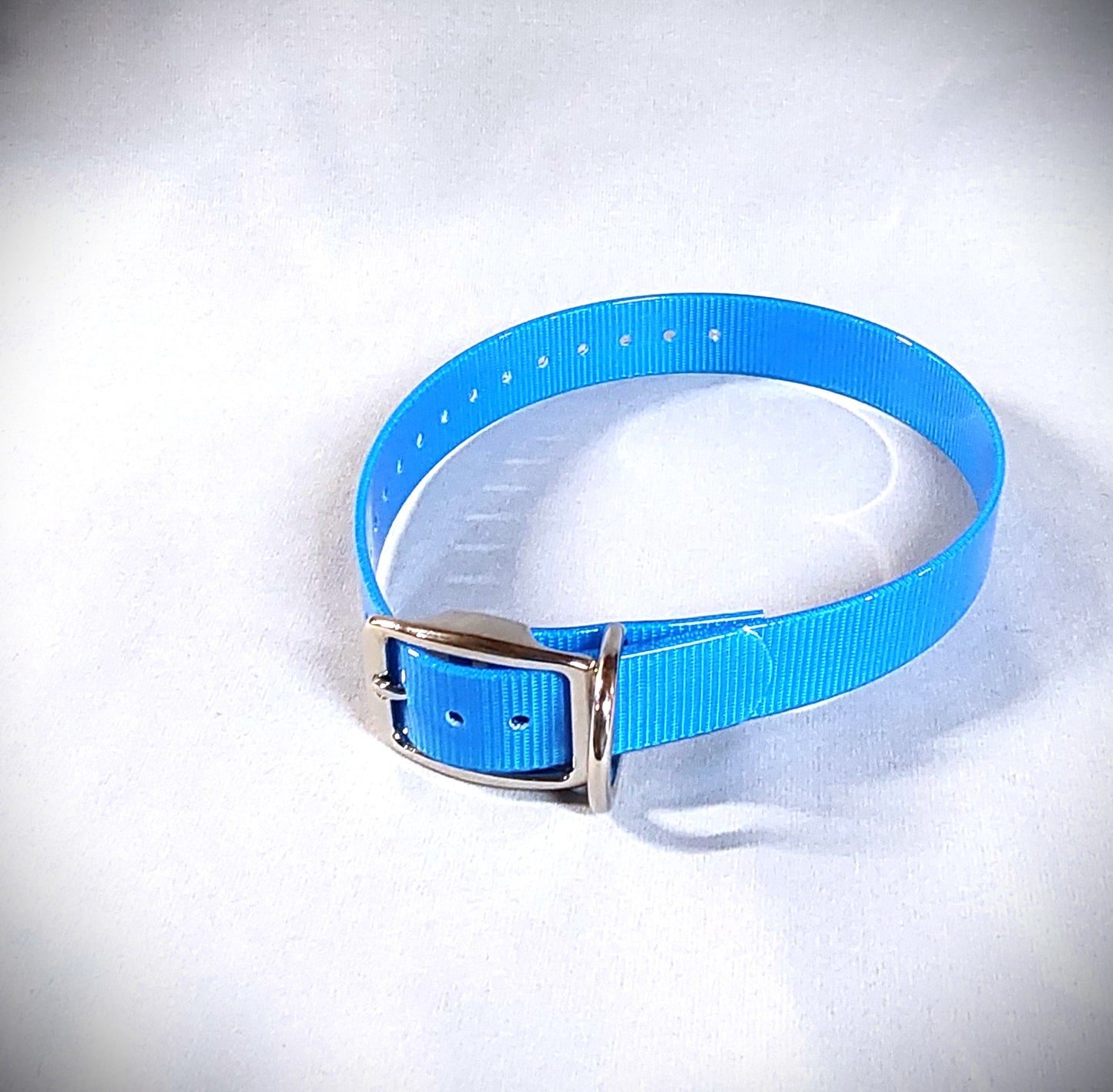 Standard Collar