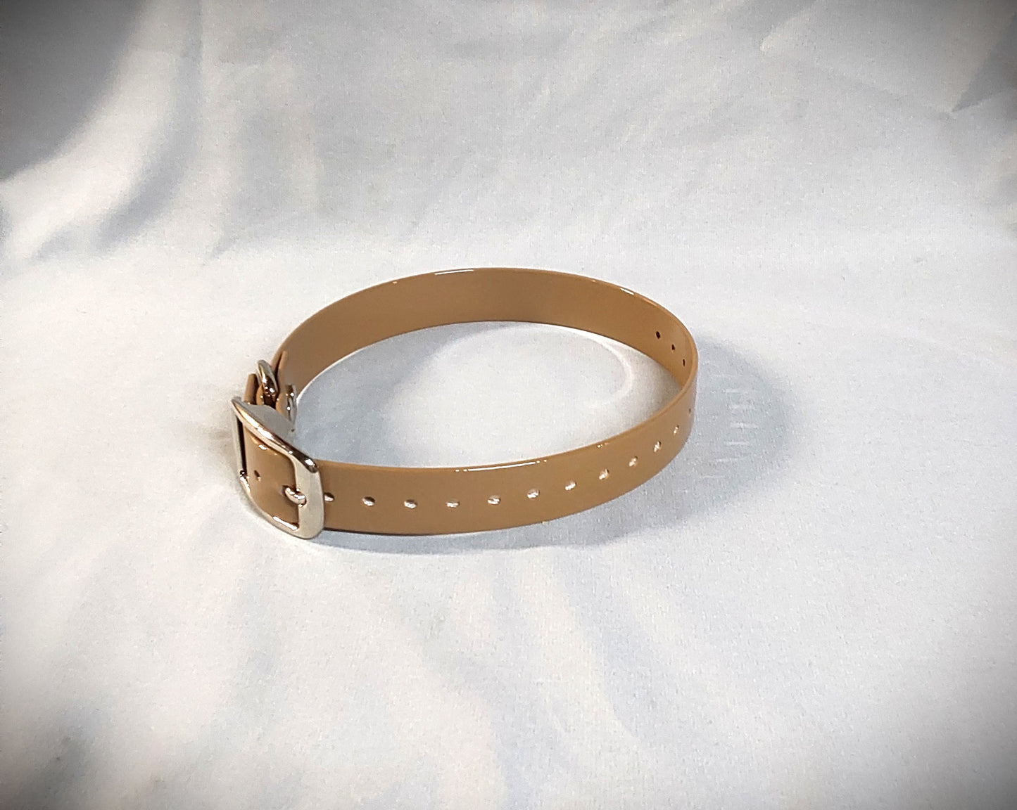 Standard Collar