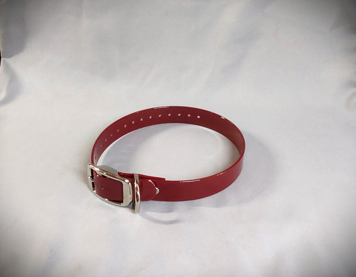 Standard Collar
