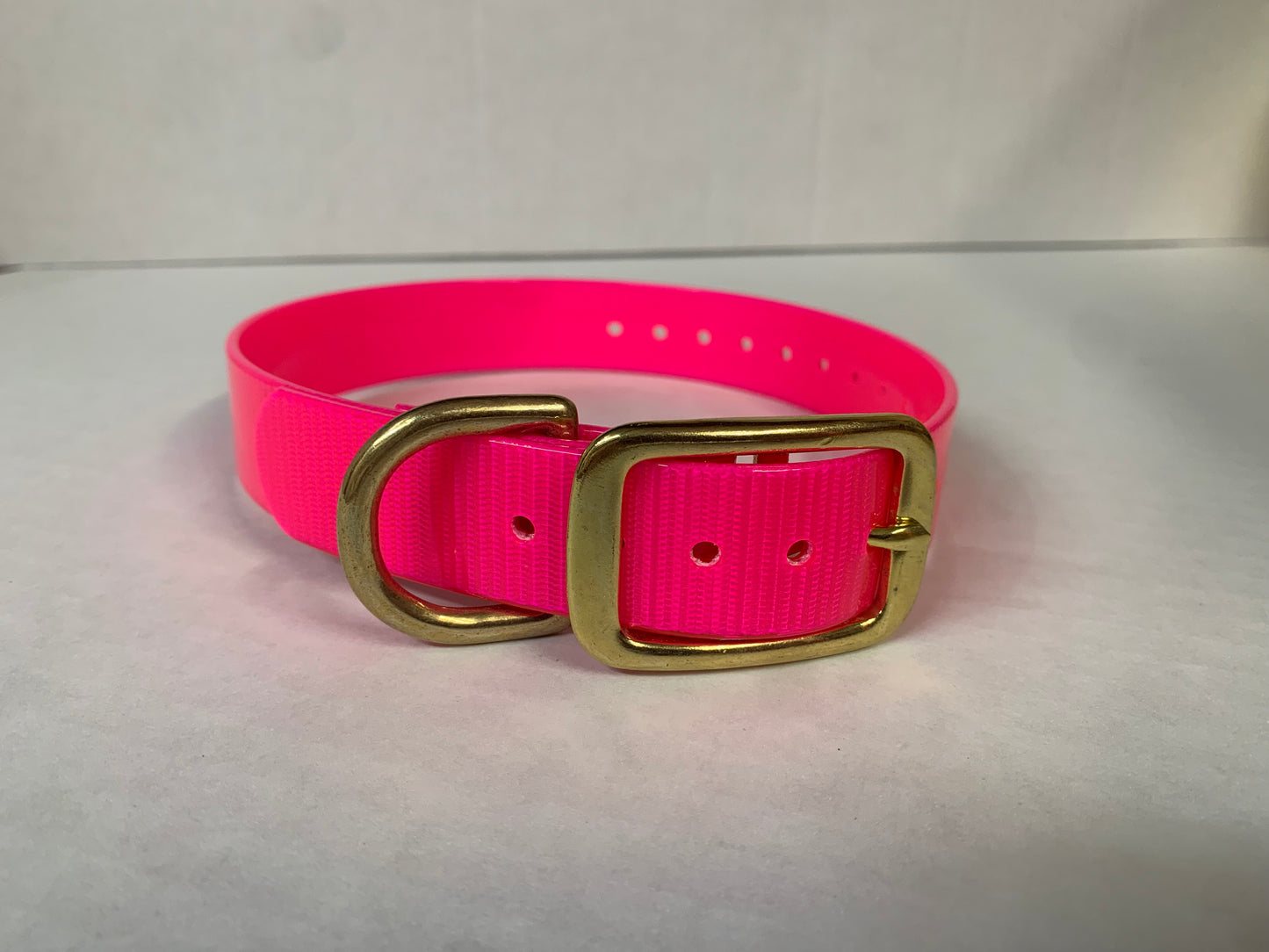 D-Ring Collars Brass Hardware