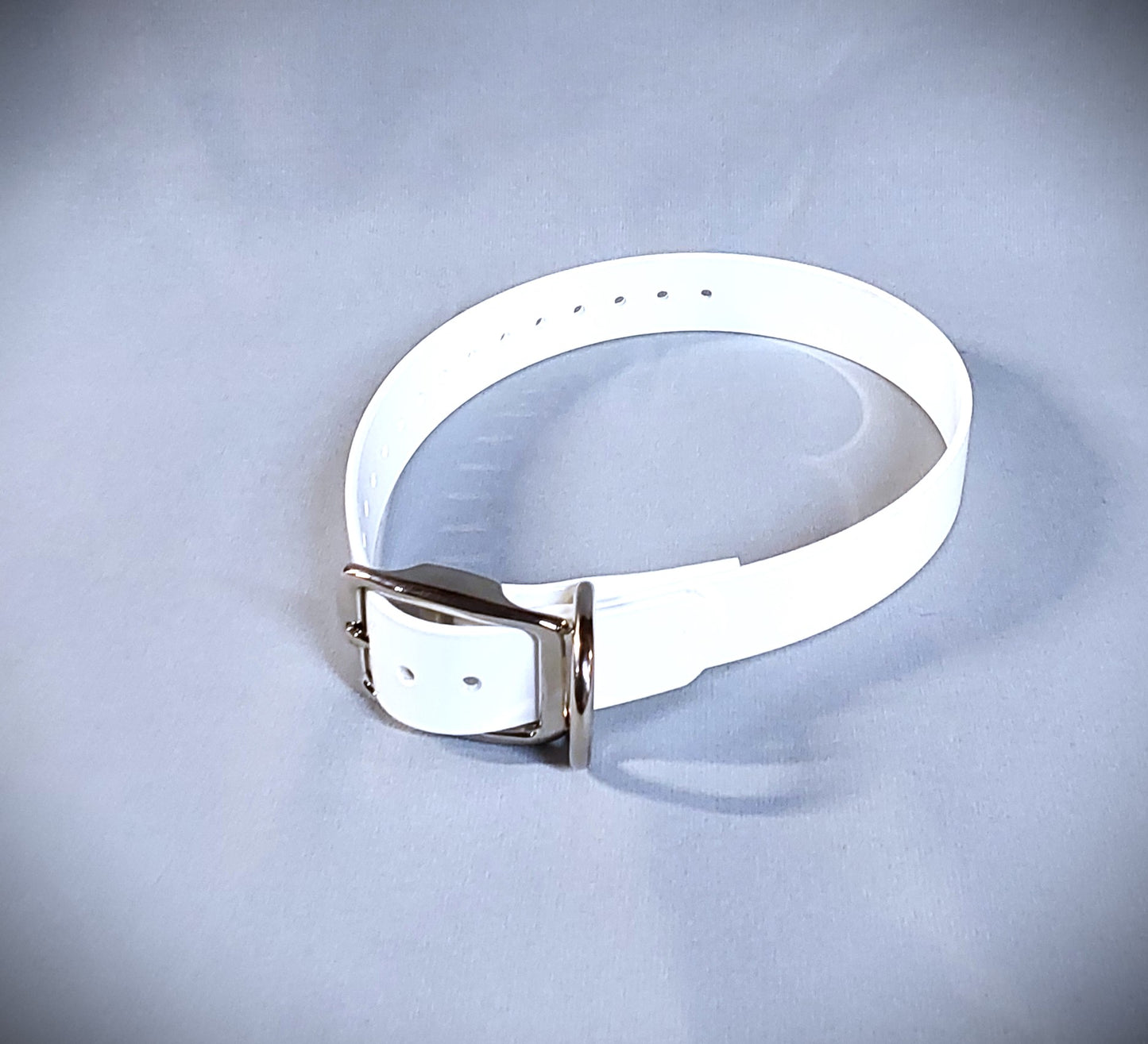 Standard Collar