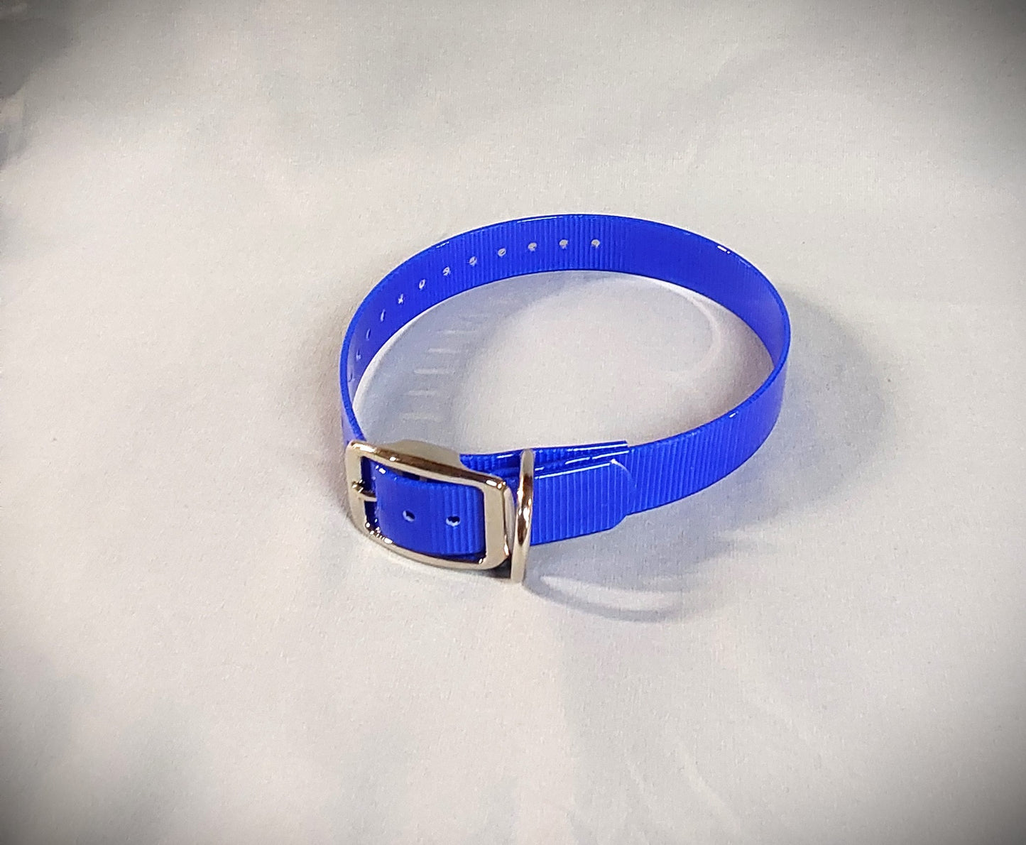 3/4 inch Dog Collar (Smaller dogs)