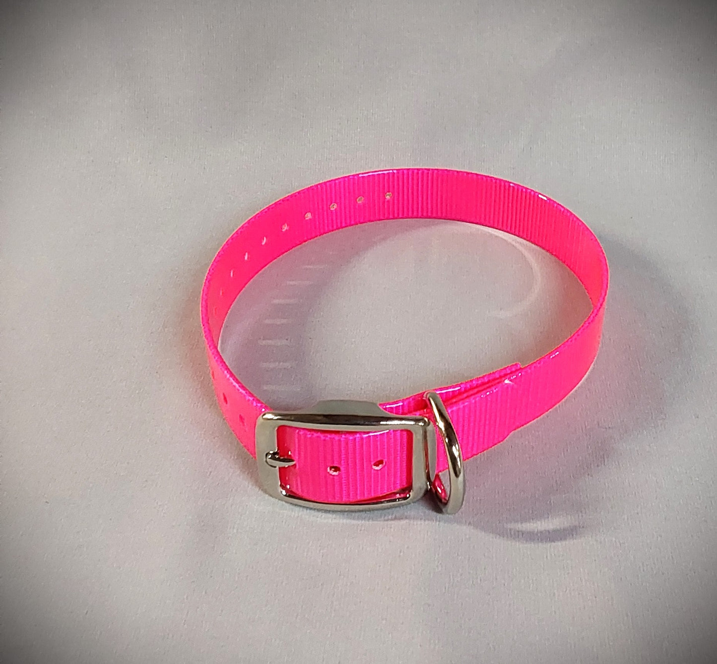 3/4 inch Dog Collar (Smaller dogs)