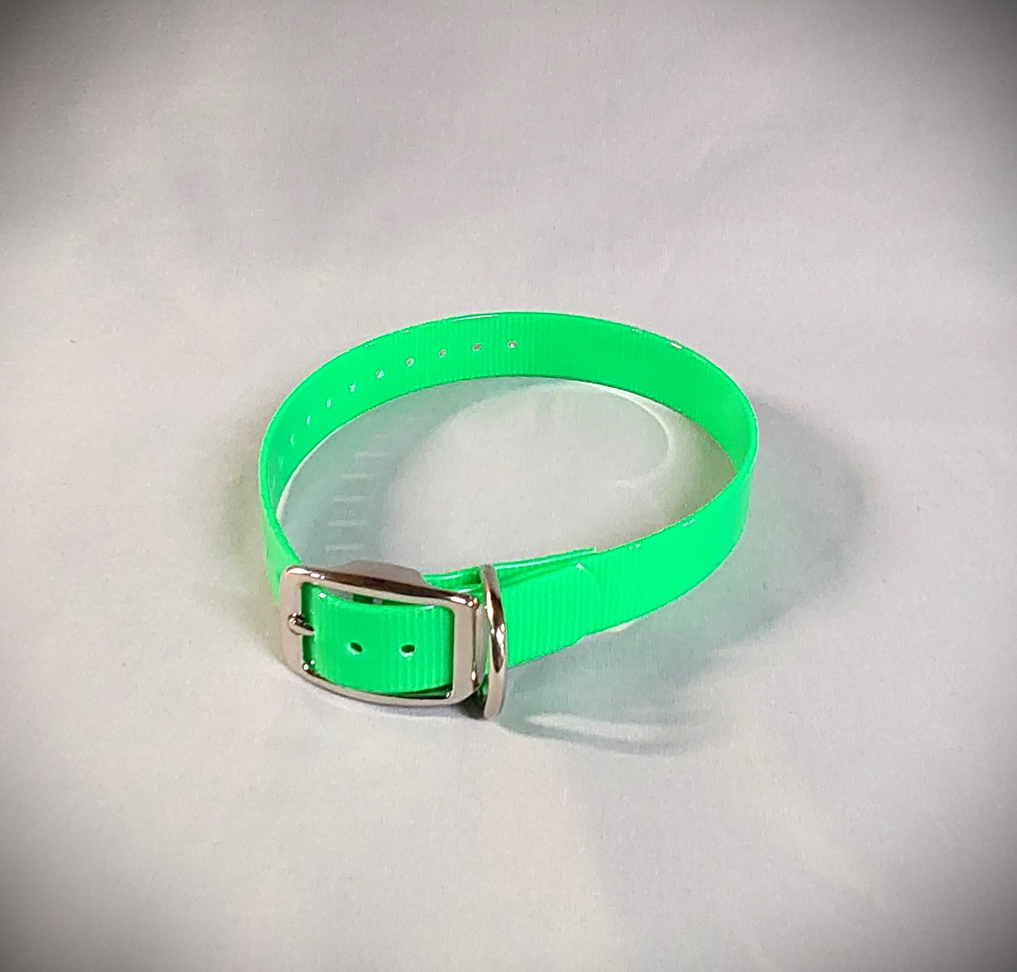 3/4 inch Dog Collar (Smaller dogs)