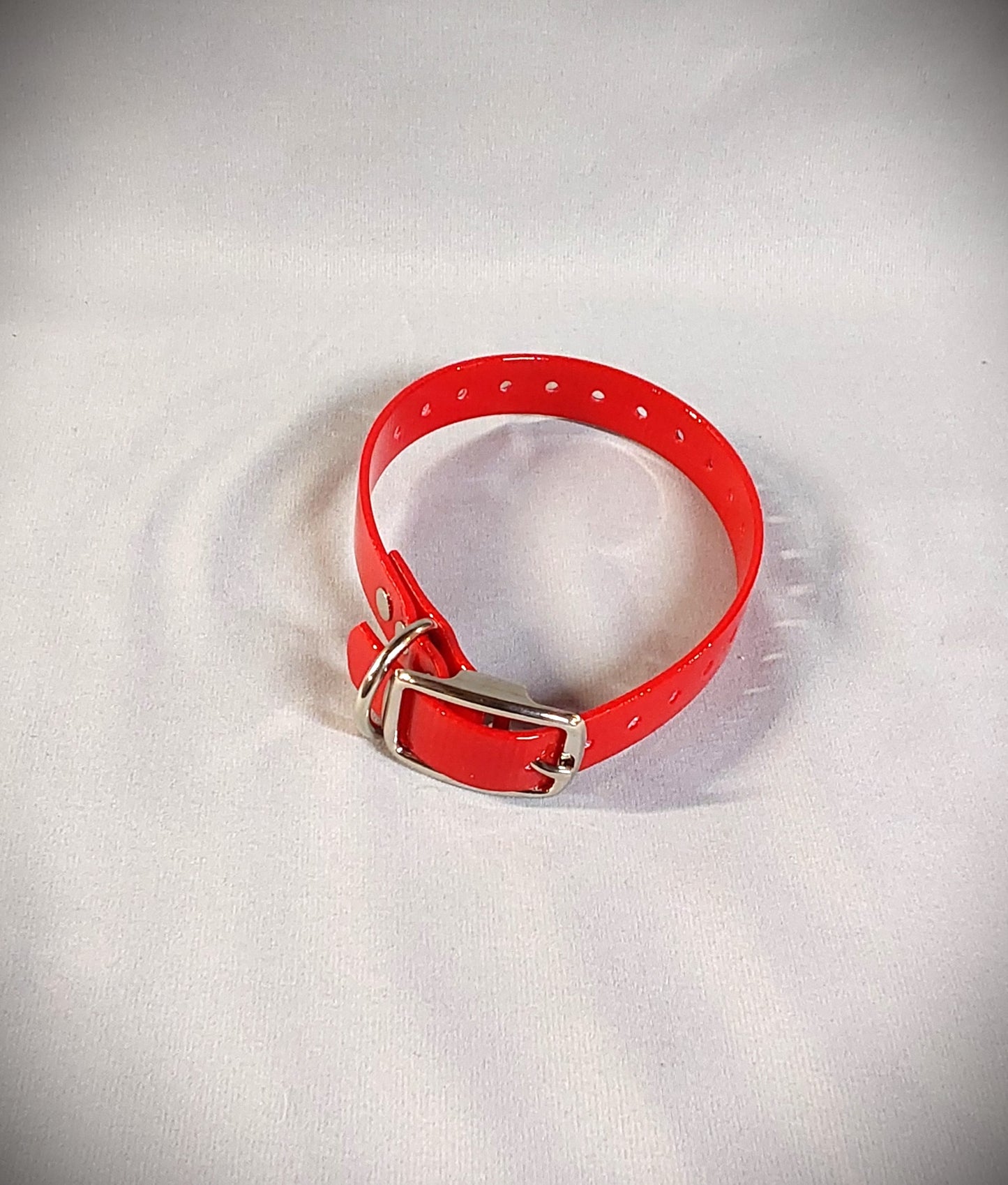 3/4 inch Dog Collar (Smaller dogs)