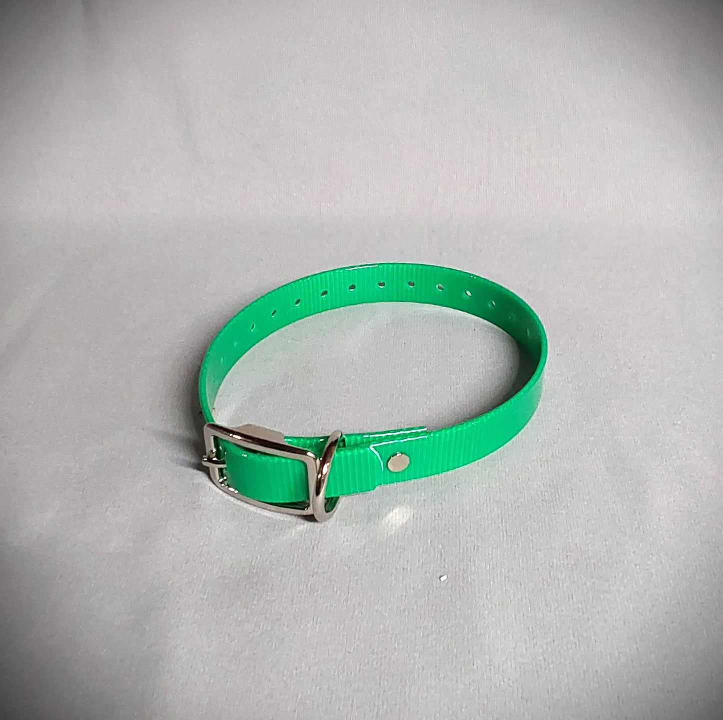 3/4 inch Dog Collar (Smaller dogs)