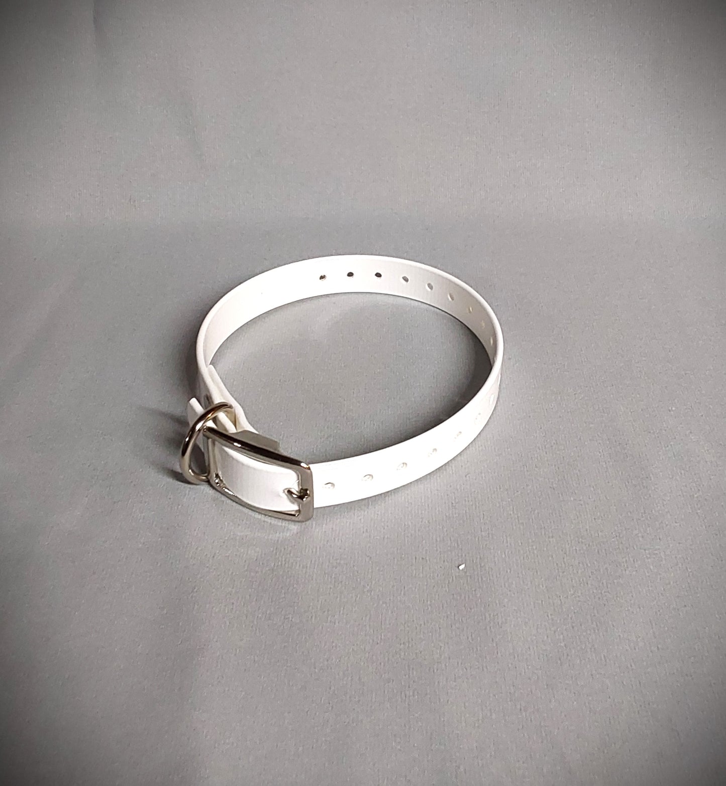 3/4 inch Dog Collar (Smaller dogs)