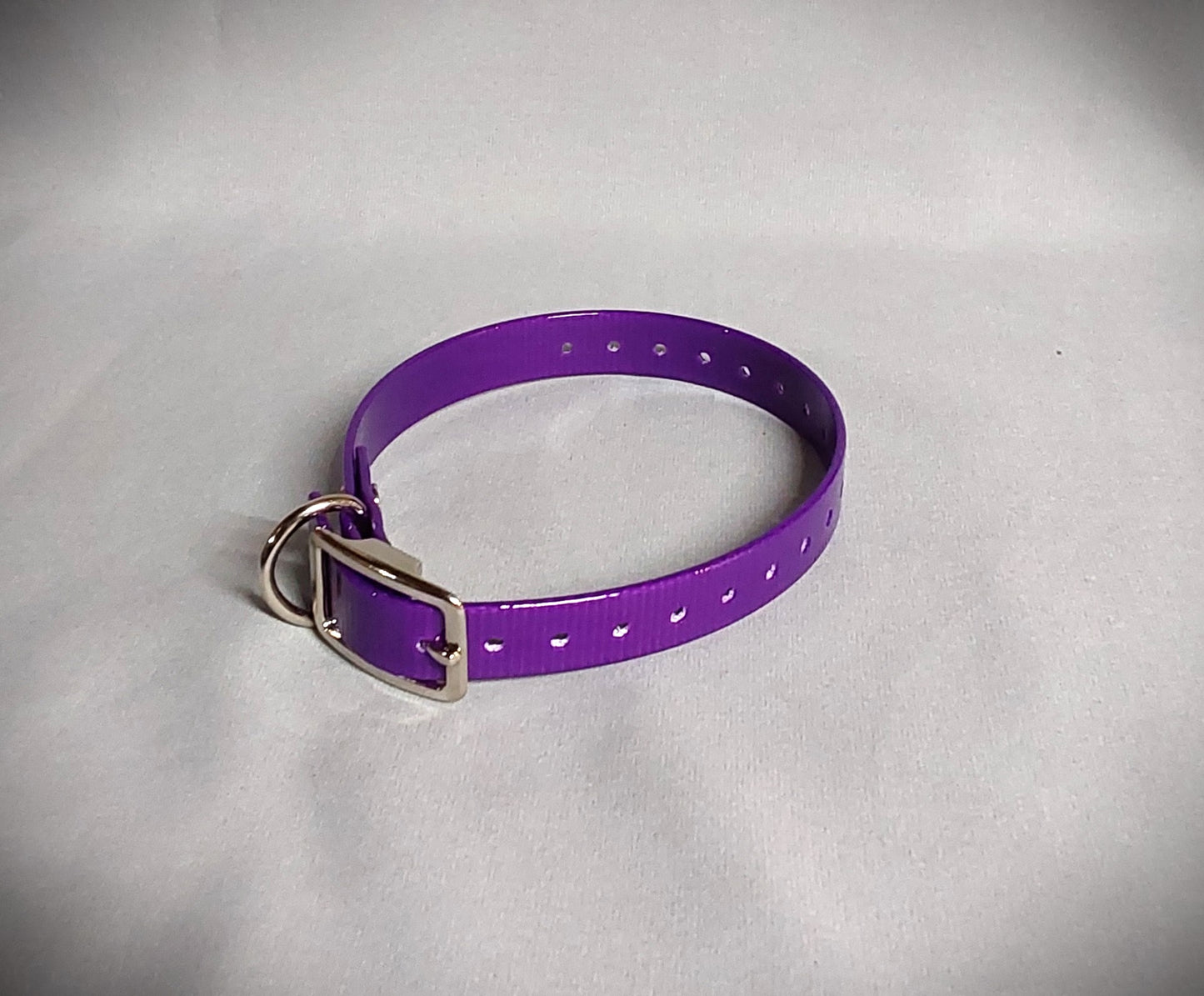 3/4 inch Dog Collar (Smaller dogs)