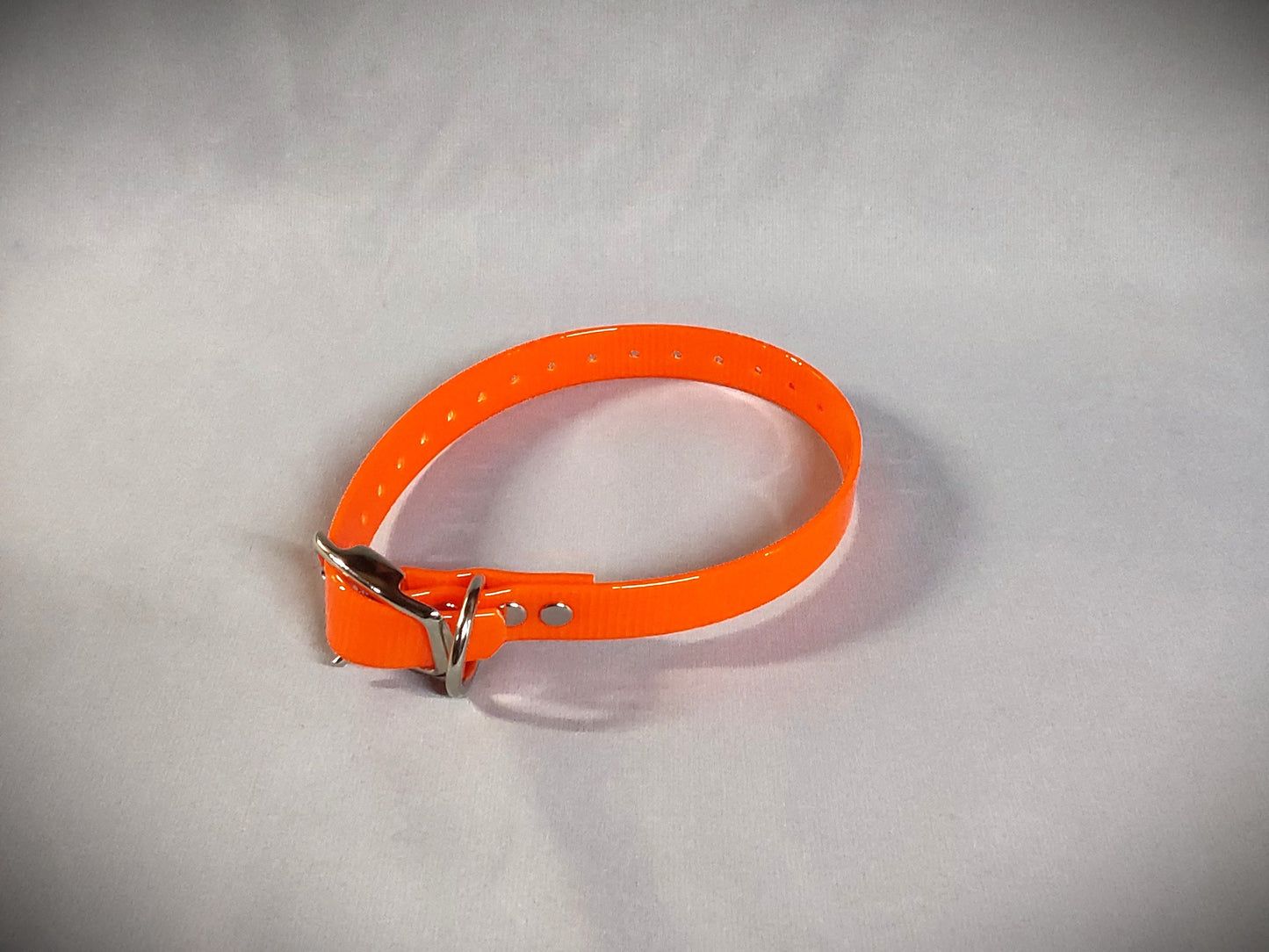 3/4 inch Dog Collar (Smaller dogs)