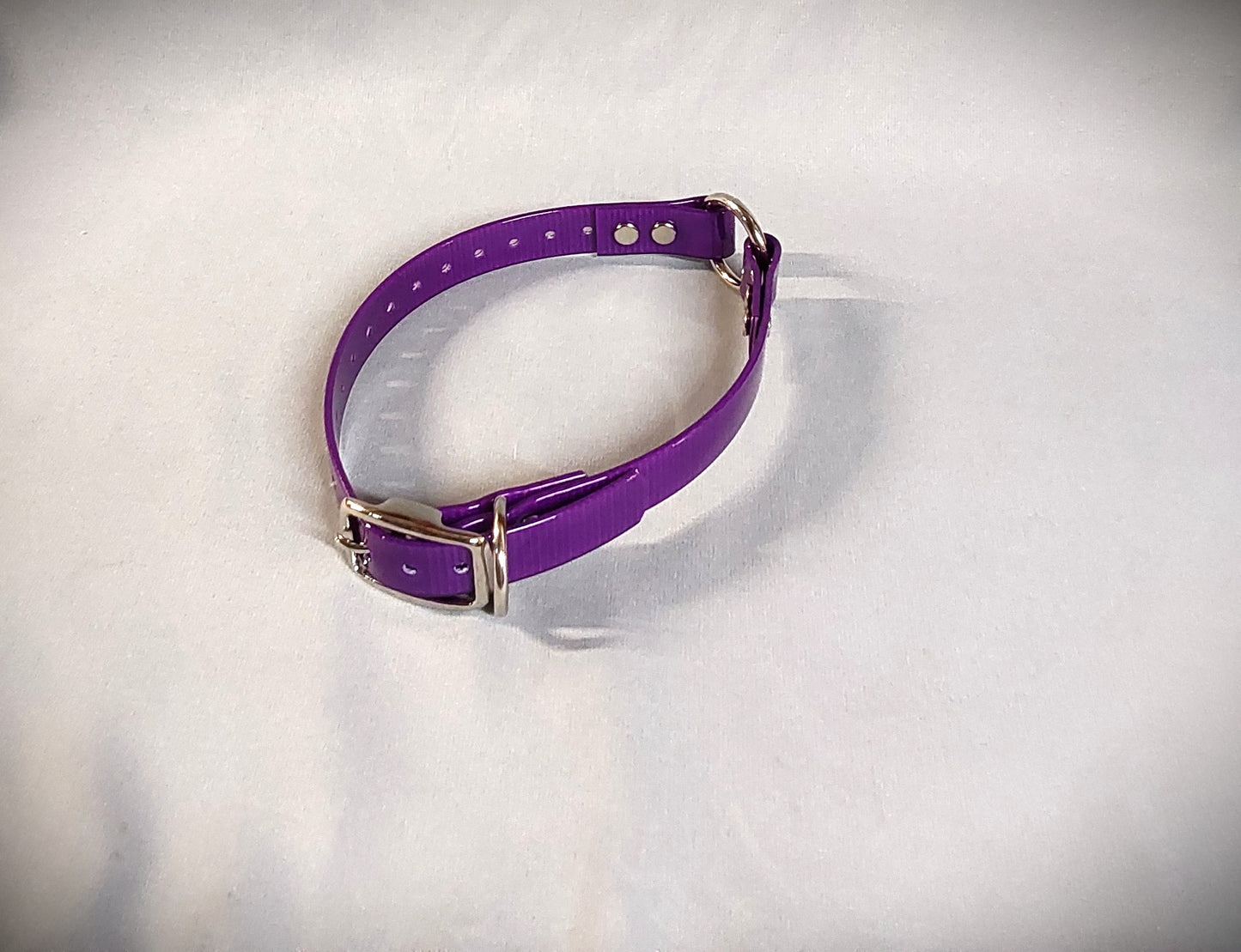 3/4 inch Collar w/Center Ring (Smaller Dogs)