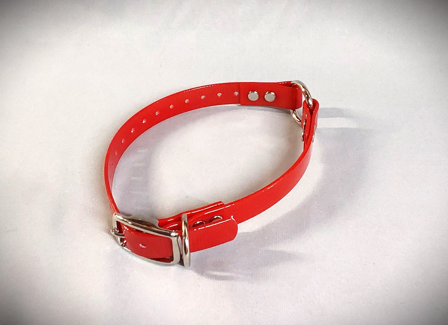 3/4 inch Collar w/Center Ring (Smaller Dogs)