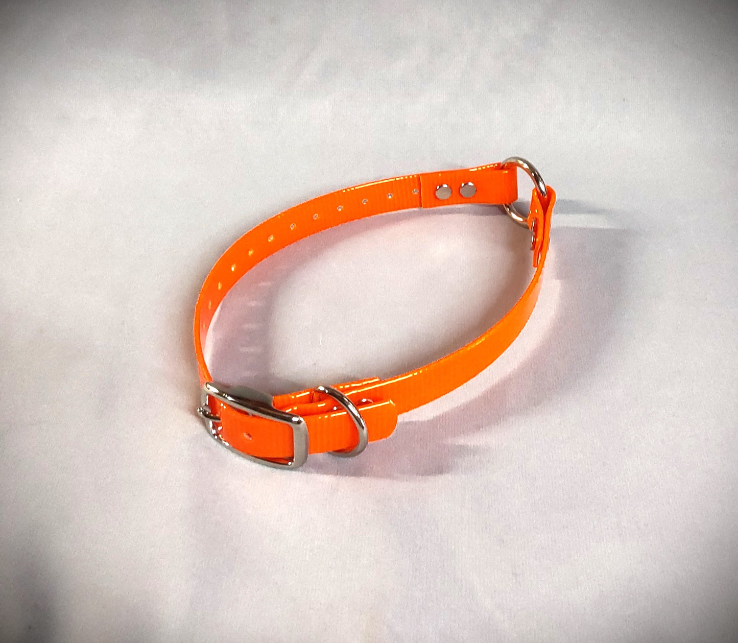 3/4 inch Collar w/Center Ring (Smaller Dogs)