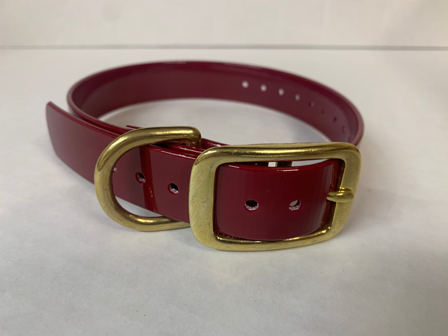 D-Ring Collars Brass Hardware