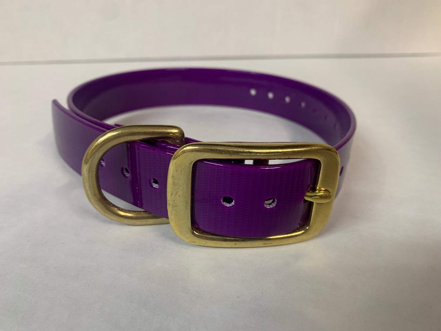 D-Ring Collars Brass Hardware