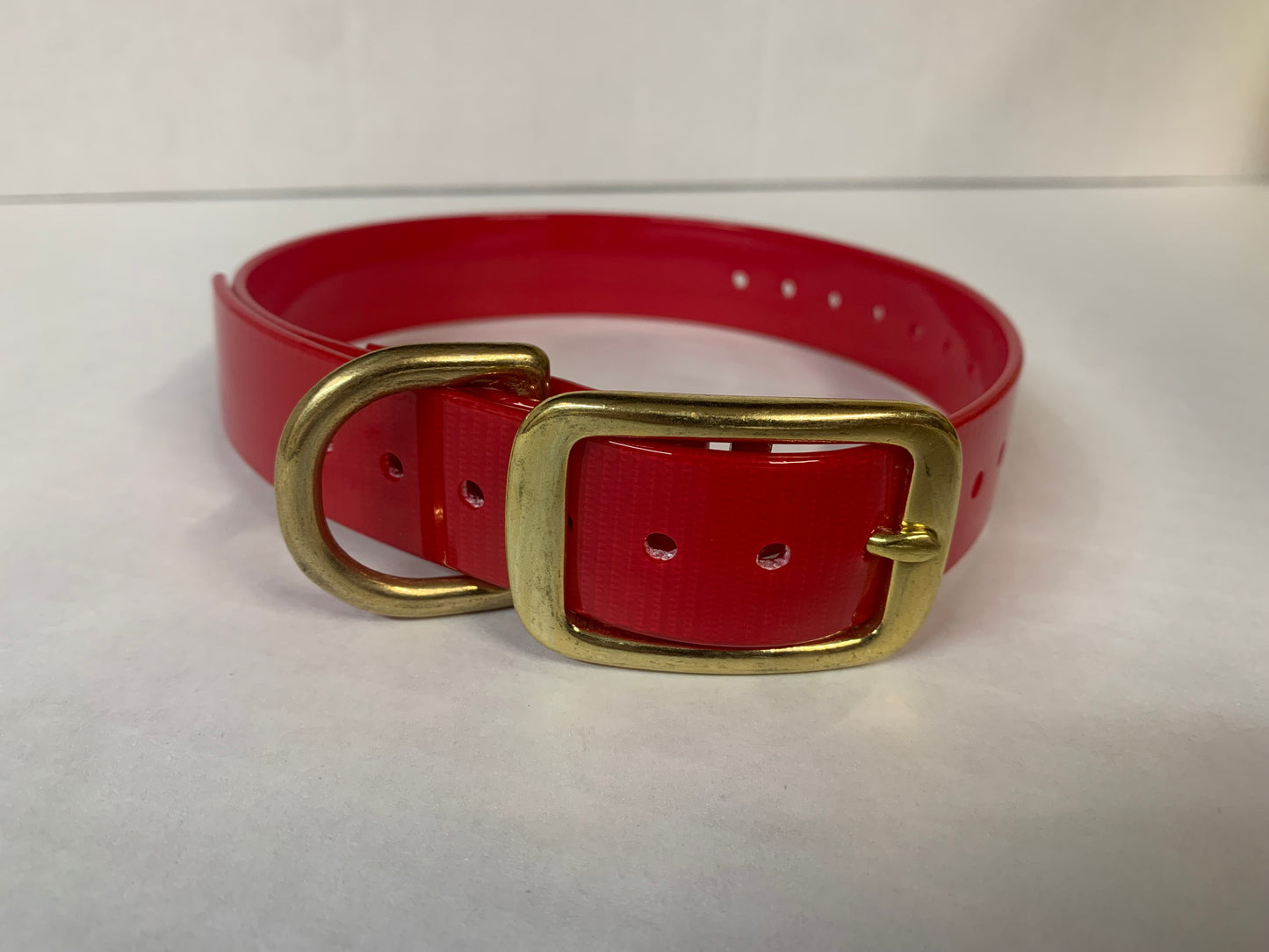 D-Ring Collars Brass Hardware