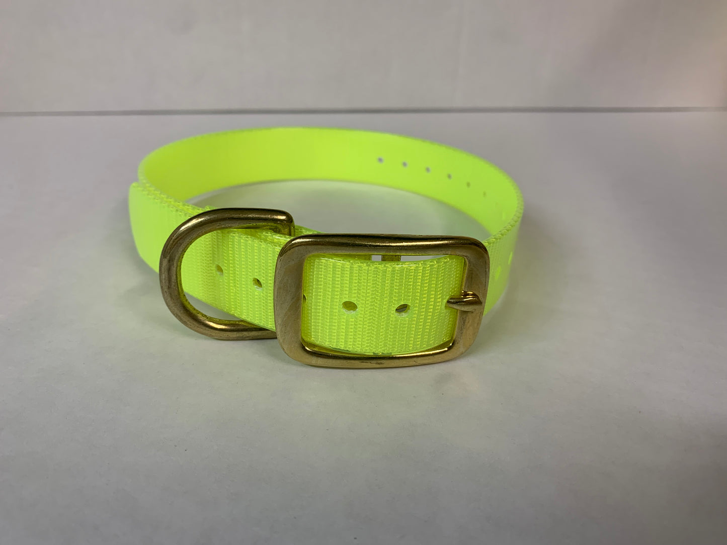 D-Ring Collars Brass Hardware