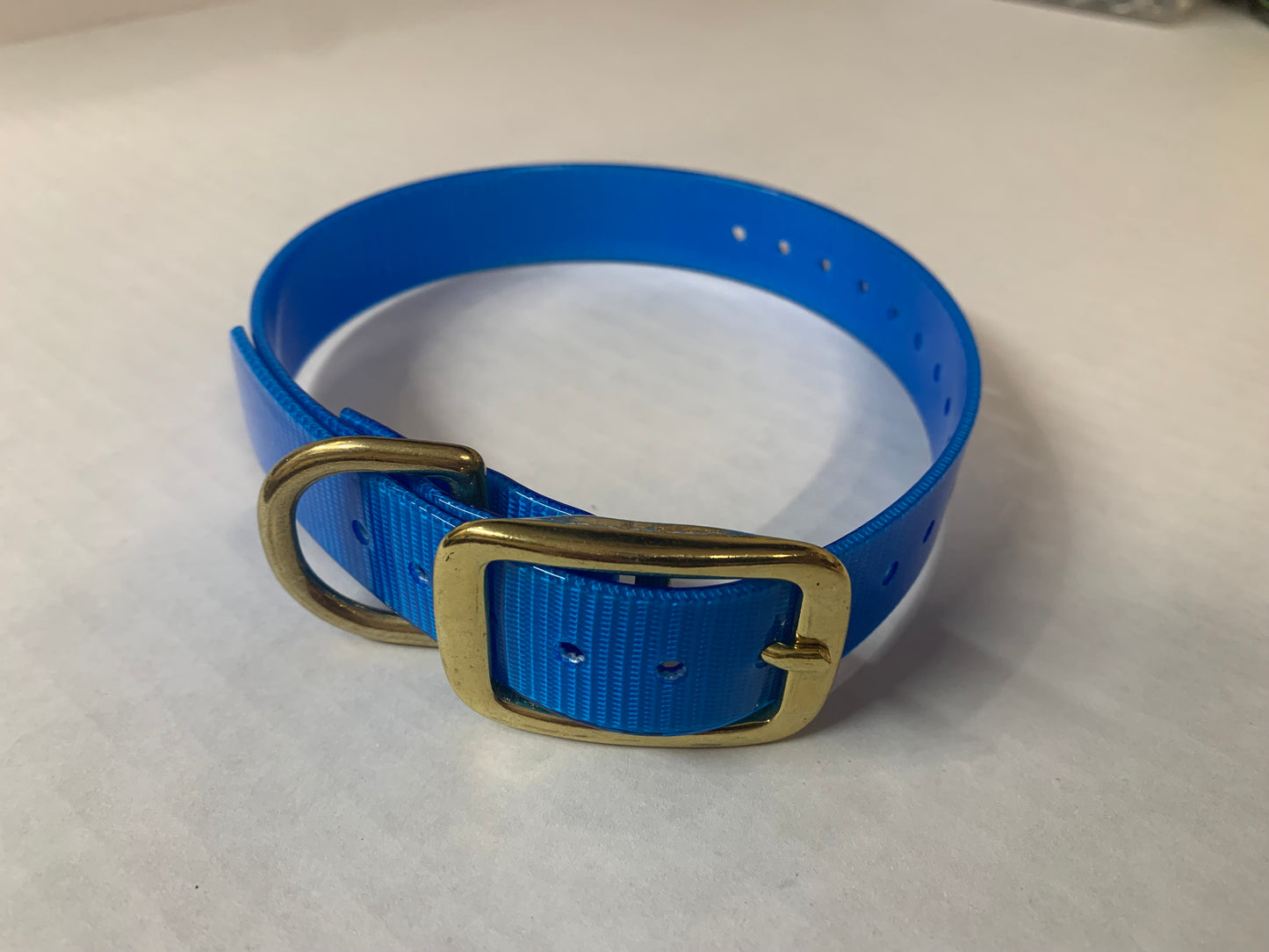 D-Ring Collars Brass Hardware