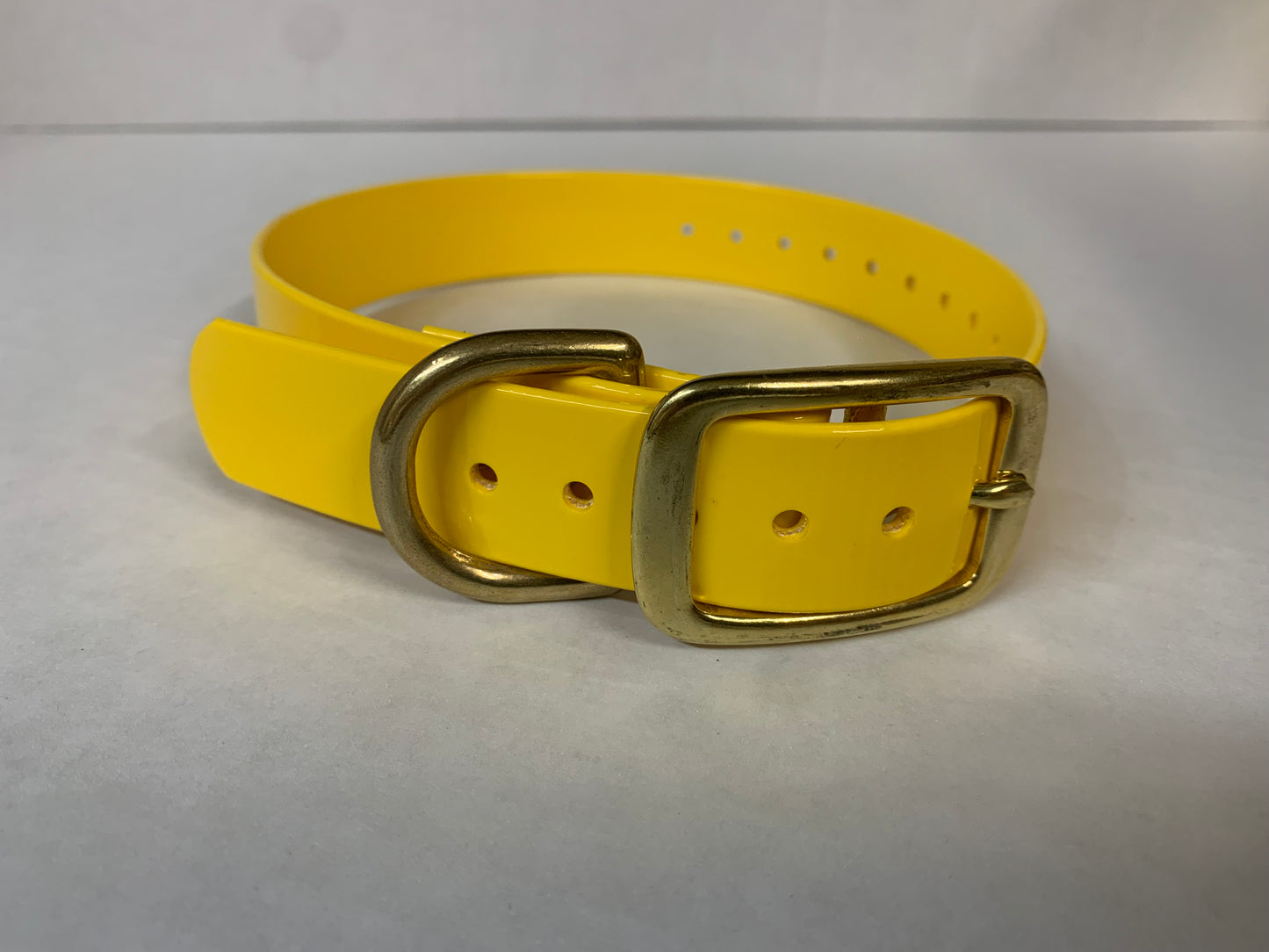 D-Ring Collars Brass Hardware