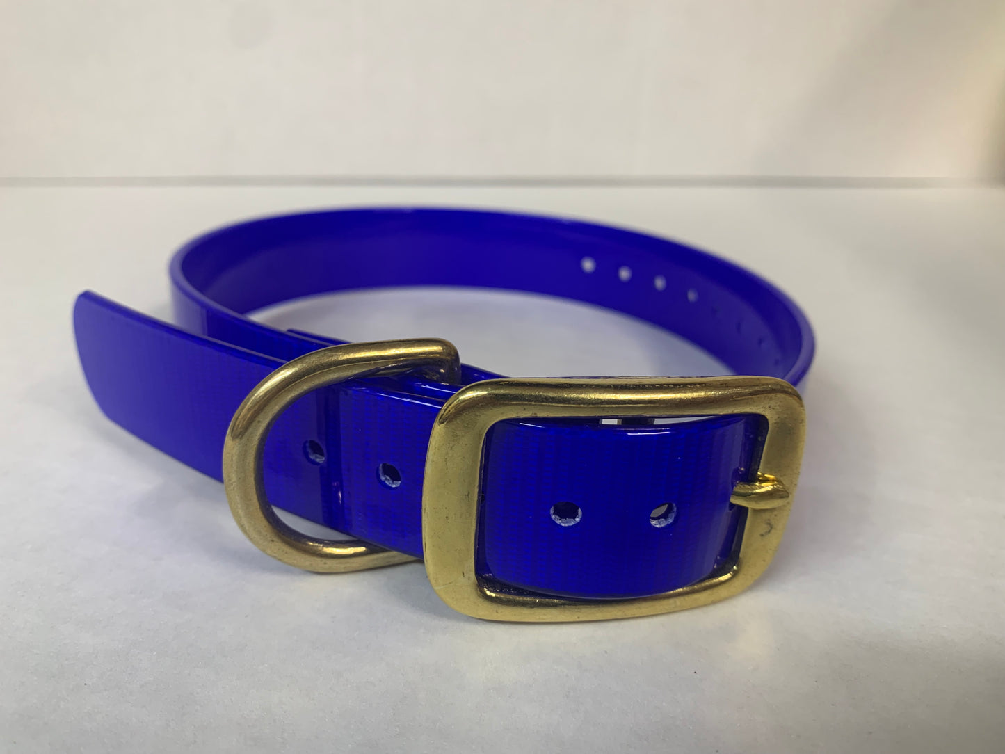 D-Ring Collars Brass Hardware